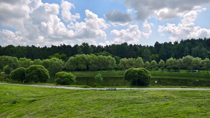 Obraz premium Willows grow on the grassy banks of the river and are reflected in the water. There are walking paths and benches nearby. There is a forest on the far shore. Sunny summer weather and blue sky