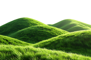 Green grass covering rolling hills on transparent background