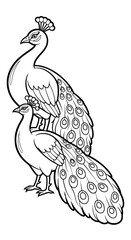 Fototapeta premium Elegant Peacock Couple Outlined for Coloring Book: Exotic Birds in Black and White for Creative Design Projects, Ornamental Wildlife Illustrations for Education, Nature-Themed Art Therapy, Printable P