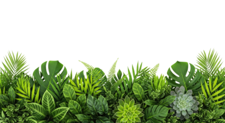 Lush green tropical foliage border transparent background cutout png