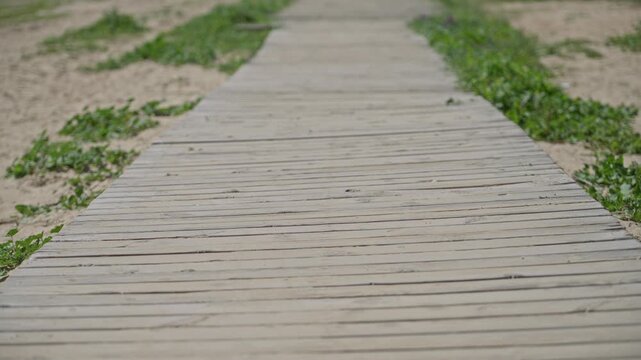 Wooden boardwalk stretches through sandy landscape under sunny sky with green grass lining the path in a serene outdoor scenery.