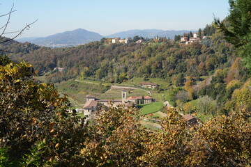 Autumn foliage on the Bergamo hills in the valley of the Astino monastery