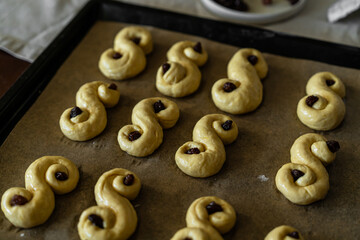 Process of making traditional Swedish saffron buns. Raw S-shaped yeast buns spiced with saffron and decorated with raisins on baking tray before baking.