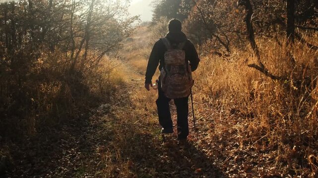 The camera follows a person walking confidently along a forest road in autumn among dry grass and fallen leaves. Traveling with a backpack and dressed warmly in the autumn forest at sunset.