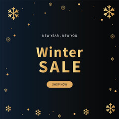 A sophisticated dark blue background adorned with shimmering golden snowflakes and the prominent text 'Winter SALE' announcing a seasonal promotion.