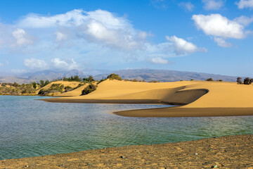 Fototapeta premium Oasi di Maspalomas, Gran Canaria Spagna
