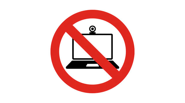 Festive Christmas pudding with holly berries promises holiday cheer