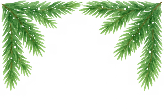 Pine tree branches forming a decorative corner frame, providing a festive background element for holiday designs. Transparent background