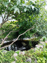 The artificial Dragon's Eye pond on a beautiful summer day. Landscape design.