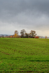 Wide Open Green Field With Autumn Trees Under Dramatic Cloudy Sky And Distant Horizon View