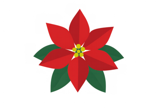 Poinsettia flower red christmas plant illustration for seasonal holiday decor and festive celebration with transparent background
