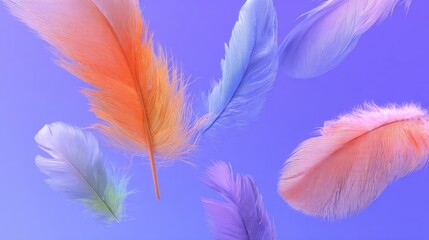 Floating colorful feathers against a gradient blue background