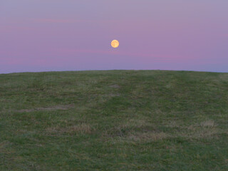 Full moon rising above grassy hill under a violet and pink twilight sky — minimalist natural landscape with serene evening mood