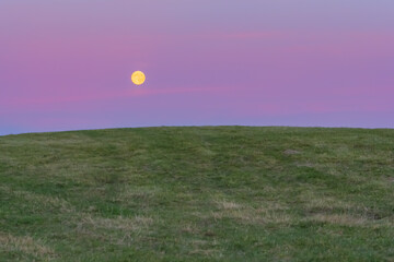 Full moon rising above a green hill under a pastel violet and pink twilight sky — minimalist evening landscape with calm, dreamlike atmosphere