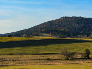 Peaceful rural landscape with green meadows and a forested hill under a clear blue sky — autumn countryside scene in soft sunlight
