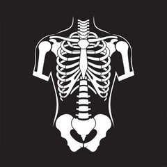 White Human Torso Skeleton On Black Background bones anatomy