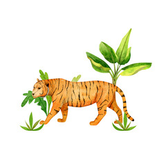 Composition cute tiger and banana tree. Isolated hand drawn watercolor illustration of african animal. For design baby shower, cards, posters, kid's rooms.