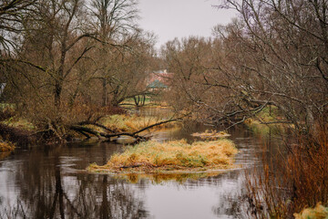 Serene landscape featuring a winding river surrounded by bare trees and golden grasses, reflecting the tranquil atmosphere of a peaceful autumn day in nature