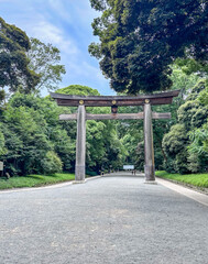 woman walking in a park in tokyo