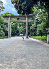 woman walking in a park in tokyo