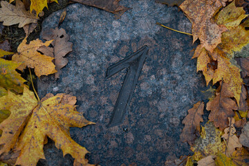 Number one engraved on stone surrounded by fallen autumn leaves, symbol of beginning, first step and new chapter in nature background