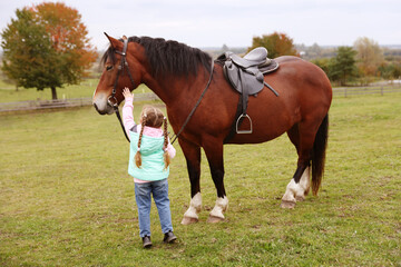 Obraz premium Equine assisted therapy. Little girl stroking beautiful horse in countryside, back view. Lovely domesticated pet