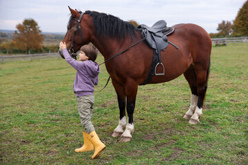 Fototapeta premium Equine assisted therapy. Little boy stroking beautiful horse in countryside. Lovely domesticated pet