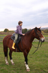 Fototapeta premium Equine assisted therapy. Little boy riding beautiful horse outdoors. Lovely domesticated pet