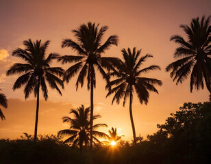 palm tree silhouette at sunset. Silhouette of palm trees at tropical sunrise or sunset