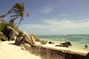 Windy Palmtree Beach with Granite Rocks in La Digue, Seychelles