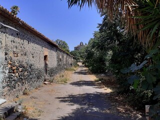 Una strada con gli edifici in rovina tra gli alberi nel borgo abbandonato di Carcaci.