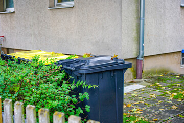Recycling bins for separate waste collection: yellow, blue and green containers near bushes. Symbol of environmental care.