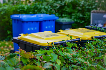 Recycling bins for separate waste collection: yellow, blue and green containers near bushes. Symbol of environmental care.