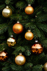 Elegant golden and bronze Christmas ornaments with various finishes hanging from fresh pine branches creating festive decoration. Generative AI.