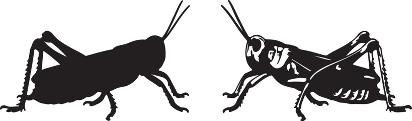 Two Black Silhouettes of Grasshoppers Facing Each Other One Detailed insect wildlife on transparent background