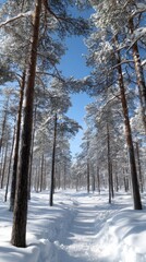 Fototapeta premium A tranquil scene with two bare trees surrounded by snow, set against a bright blue sky and distant fields, depicting winter's calm beauty