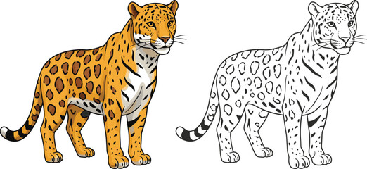 Cartoon jaguar illustration, wild animal drawing, jungle wildlife art, safari predator design, coloring page outline, cad drawing flat vector illustration