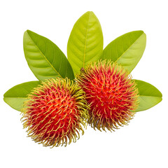 Two Rambutan Fruits with Green Leaves on Black Background