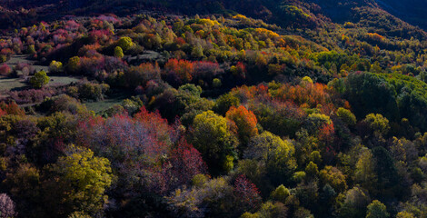 Aerial drone view of the autumn landscape of the mountains surrounding Hoz de Jaca in the Tena Valley, Alto Gallego region, Huesca, Aragon, Spain, Europe