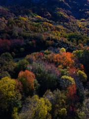 Aerial drone view of the autumn landscape of the mountains surrounding Hoz de Jaca in the Tena Valley, Alto Gallego region, Huesca, Aragon, Spain, Europe
