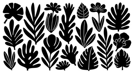 Set of tropical leaves and flowers hand drawn vector