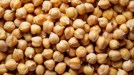 Chickpeas: raw seeds for healthy eating