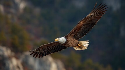 Majestic eagle soaring above the mountains.