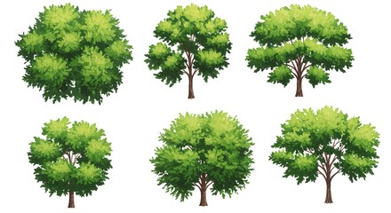 Watercolor Trees Illustration Set nature plant green forest isolated drawing art design element leaf branch trunk foliage landscape