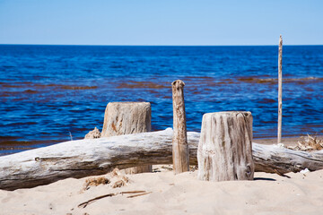 wooden fence on the beach