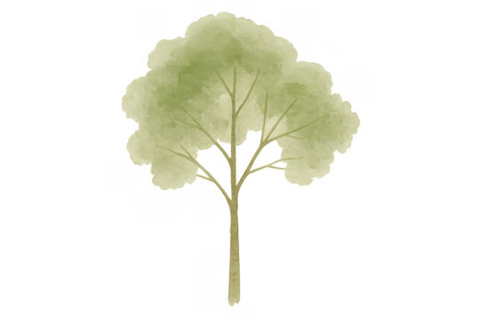 Green watercolor tree illustration with light foliage, vector art for nature and environment concepts, transparent background
