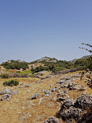 The mountain hiking trail ascends to a high peak, opening onto sunlit rocky hills dotted with oaks, and culminates at a summit where the path climbs over oak-covered rocks.