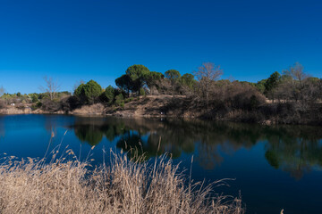 Natural landscapes by a calm lake surrounded by trees, vegetation, and reeds under a deep blue sky