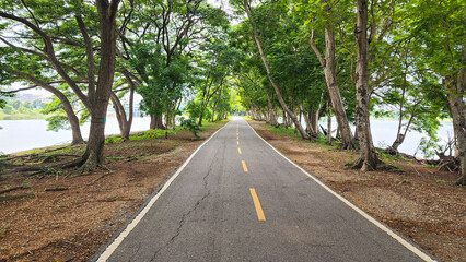 ​A straight, paved road is shown leading into the distance, framed by a dense canopy of vibrant green trees On both sides of the road, the trees create a natural tunnel effect