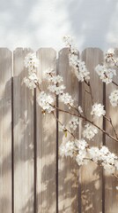 Delicate White Cherry Blossom Branches Gracing a Rustic Wood Fence in Spring Light